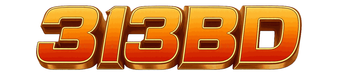 313bd